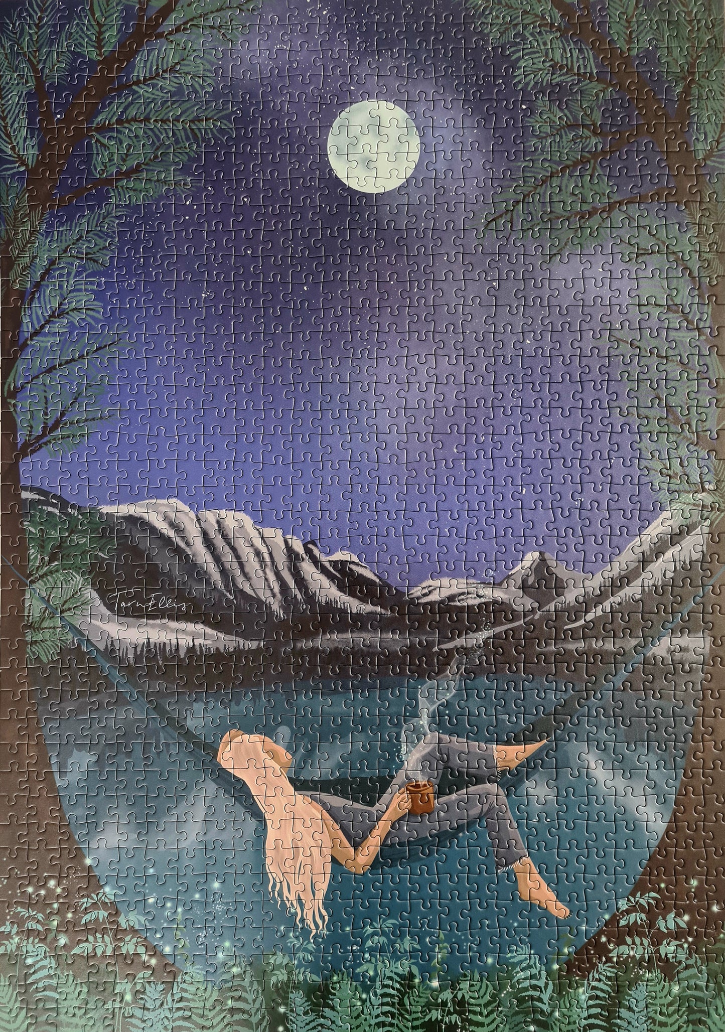 Puzzle n#6 "Twilight Dreamer" 1000 pieces by Tarn Ellis