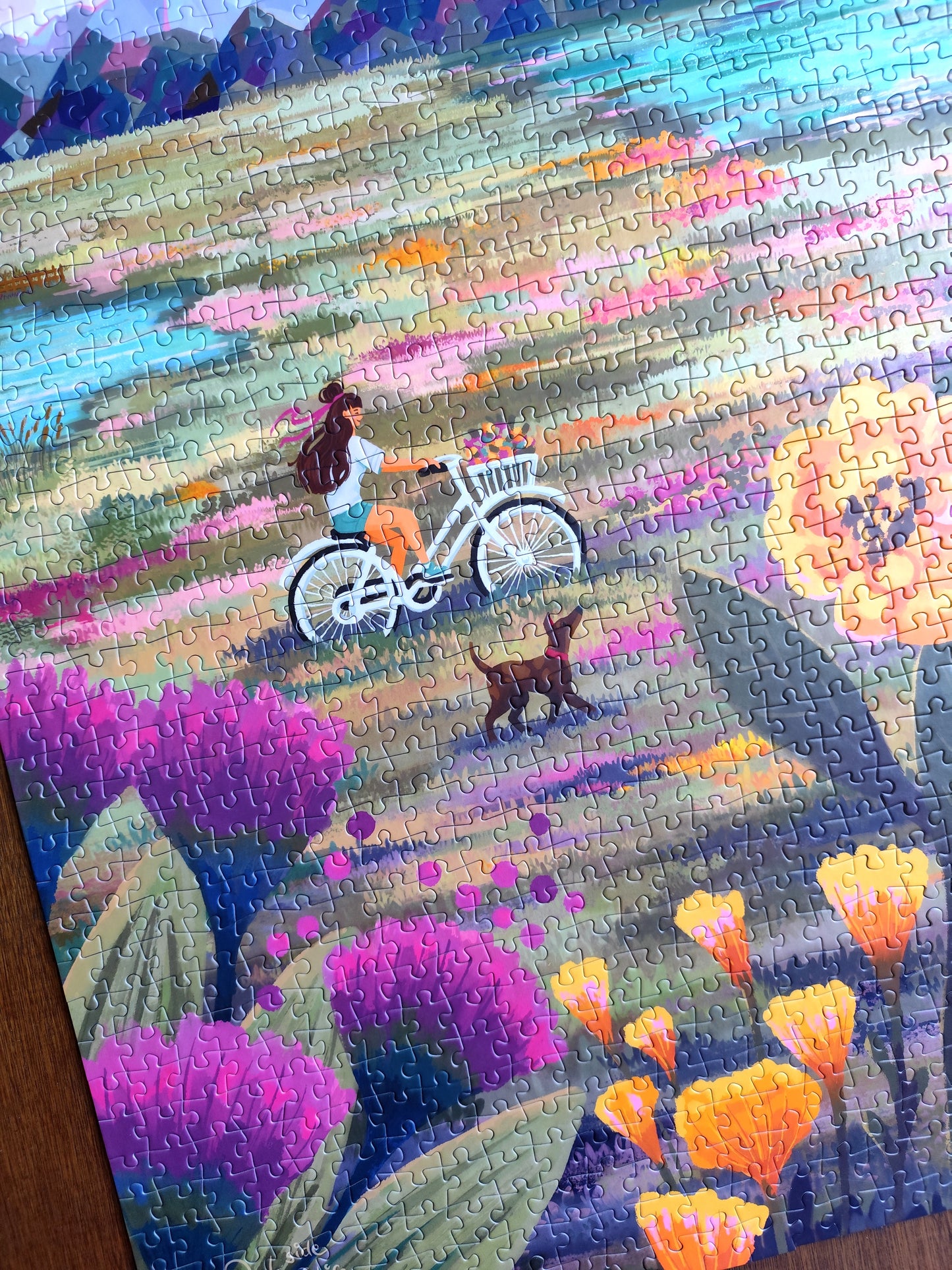 Puzzle illustré 1000 pièces "Biking at the lake"